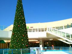 usãCICN^EAEgbgւ̓eʐ^1