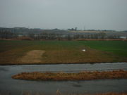 Ԃ񂳂̒}̍؂̉Ԃ̓eʐ^1