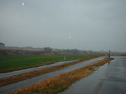 Ԃ񂳂̒}̍؂̉Ԃ̓eʐ^2