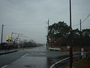 Ԃ񂳂̖]̔؂̓eʐ^1