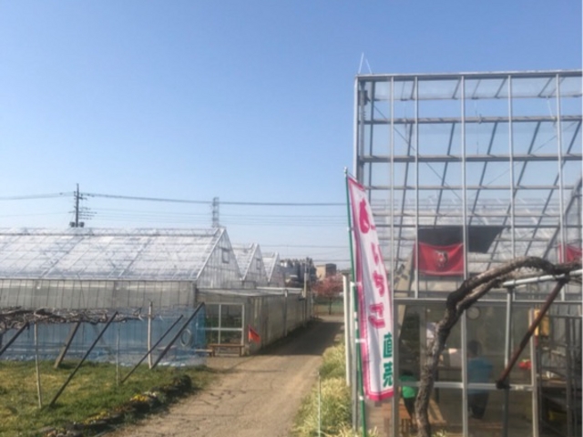 ̂ǂȕ͋C̃C`SnEX_ނ̂ӂ[