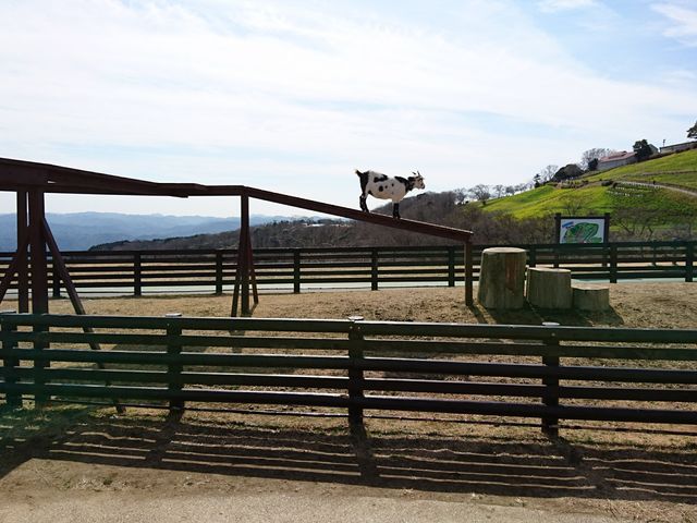 �}�U�[�q��_�}�U�[�q��