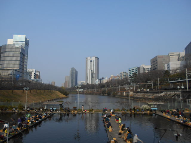 市ヶ谷フィッシュセンター】東京都心の「釣り堀」に行ってきたよ