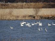 񂸂̑΃rIg[v̓eʐ^3