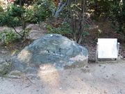 ���ڂ炳��̔m�ԋ��i�ӂ邳�Ɣm�Ԃ̐X�����j�̓��e�ʐ^1