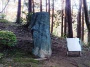 ���ڂ炳��̔m�ԋ��i�ӂ邳�Ɣm�Ԃ̐X�����j�̓��e�ʐ^3