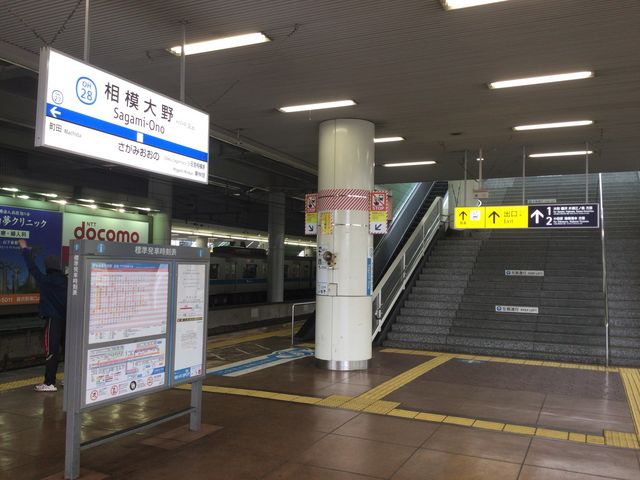 ���͑��w_���c�}�d�S���͑��w