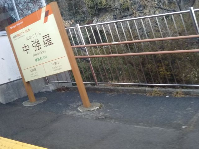 O̍Ŋw͔oRP[uJ[w̉D炷B_O