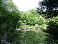 トロムソさんの有栖川宮記念公園の投稿写真1