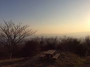 tam-tam̃^v^v̔RW]̓eʐ^1