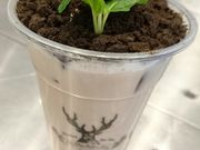 �ۂ҂���̃W �A���C�@�b����X�̓��e�ʐ^1