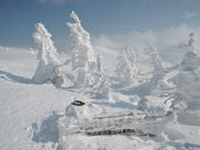 ւ̂ւ̔bcR̎X̓eʐ^1