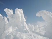 ւ̂ւ̔bcR̎X̓eʐ^2