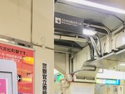 ���䂳��̂i�q�l�����w�̓��e�ʐ^1