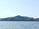 ナコさんの加茂川・中海遊覧船の投稿写真2