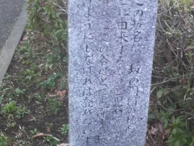 ǂԂ̗RA݂Â炢łA悤ɂēoȂ΂ȂȂقǋ}łƂ̂_ǂԂ