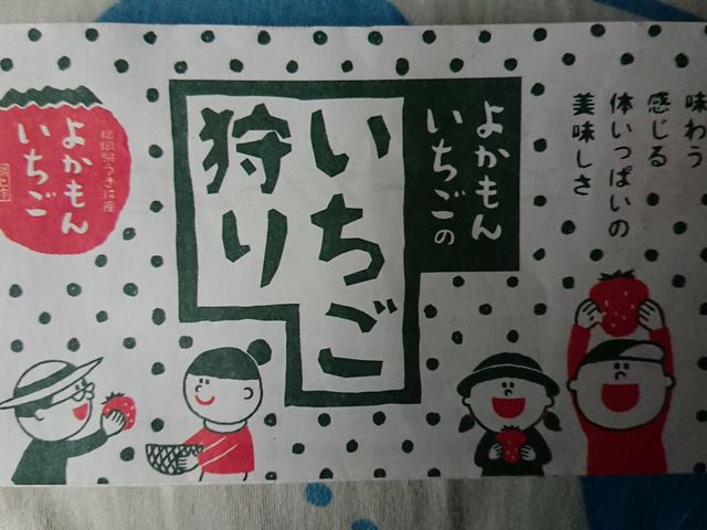 �p���t���b�g_�悩���񂢂���