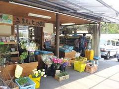 cJ擙X͂̏Zl̓̉w MZH ܂̊قւ̓eʐ^1