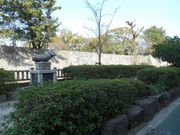 ܁`ځ`̂킳ђЂ˂̒n̔̓eʐ^1