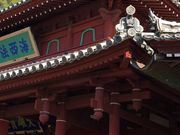 poporon����̐�������Y��a�̓��e�ʐ^1