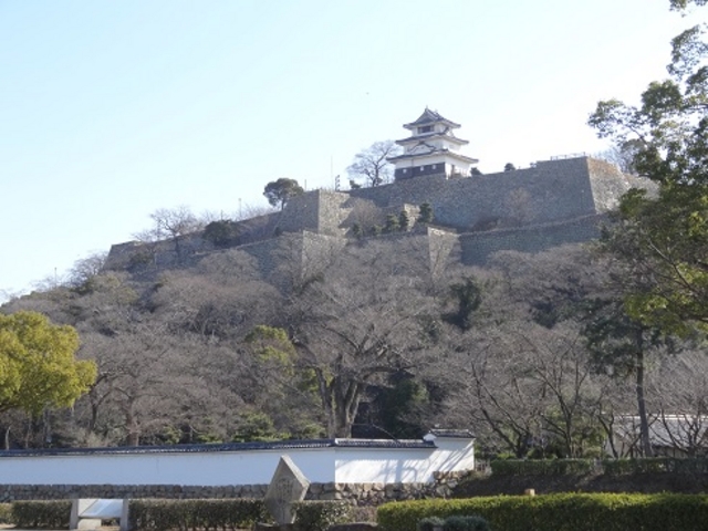 �T�R�����̍�_�T�R�����̍�