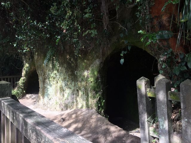この穴に隠れていたようです。_城山(鹿児島市)