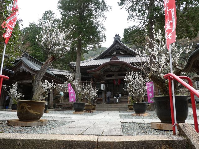 �O���Ίϐ���