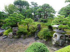 �݂݂���̒��l�~�~�W�ւ̓��e�ʐ^1