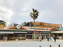 EwC̎sT[rXGAւ̓eʐ^1