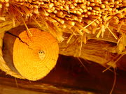 ̑唒쉷@݂̓̓eʐ^1