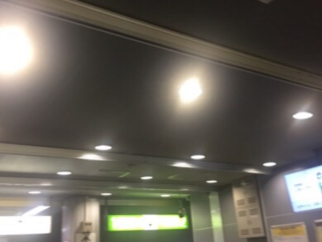 ���ݍ������D�ł��B_�i�q��w