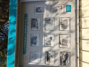 䂫񂳂̒O߃gl}E҈ԗ̓eʐ^1