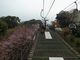 ひでちゃんさんの松山城ロープウェイ・リフトの投稿写真1