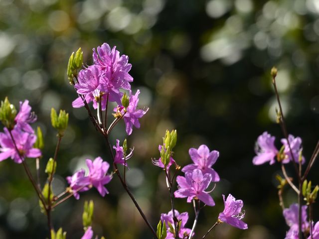 gV`̊⍪_Ђ̃~coccWE}ccW̓eʐ^3