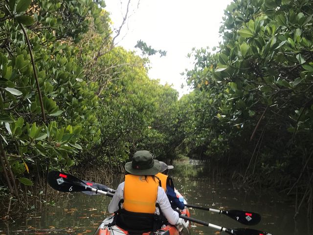 �ׂ����H��ʂ��Ė߂�܂�_���΂�G�R�t�B�[���h�@����