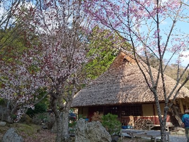 ���̒����ꌬ�ƃJ�t�F(�ԂŖ�30��)_���̖V���񂾎R��