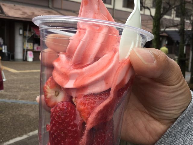 Ós؃Tf[_̉waHւE܂Xe[V