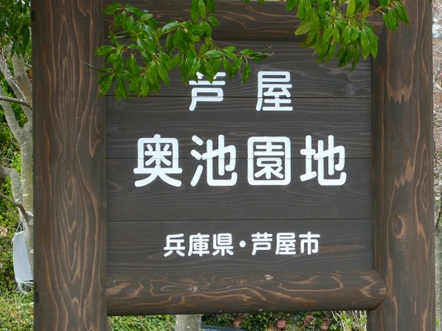 ���Ɍ��E���r���n_���r