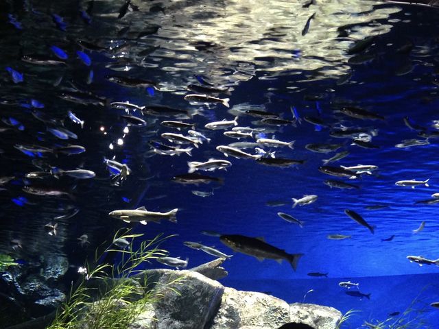 �x┌΂��Č��B�x┌΃u���[�ɖ�����܂��B_�T�P�̂ӂ邳�Ɛ�ΐ�����