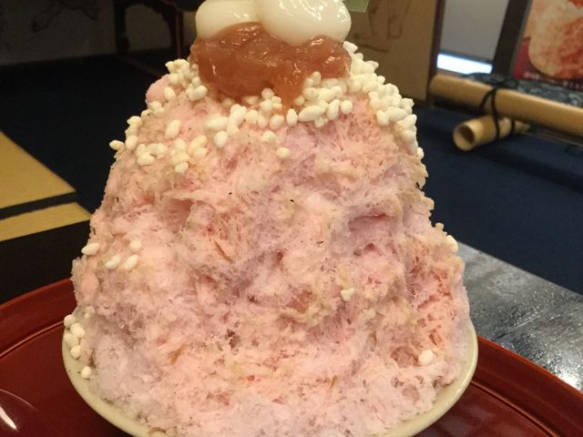 f[Nُ̉g@ ޗǑ{X̓eʐ^4