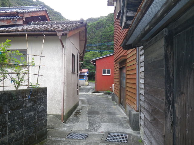 ���Y����̉��`���̓��e�ʐ^3