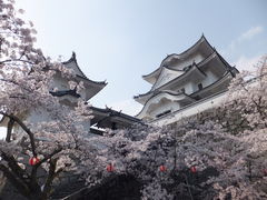 こぼらさんの伊賀上野城の投稿写真1
