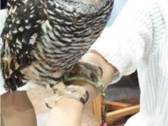 Ĉρ[@tNEJtFr܂ւ̓eʐ^1