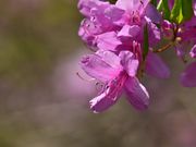 gV`̊⍪_Ђ̃~coccWE}ccW̓eʐ^2