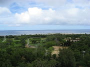 �����񂳂�̔��d�R������̓��e�ʐ^4