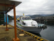 ���Y����̉��`���̓��e�ʐ^1