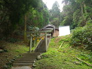 ���Y����̉��`���̓��e�ʐ^2