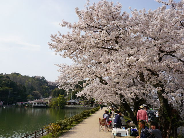 ��̋{����