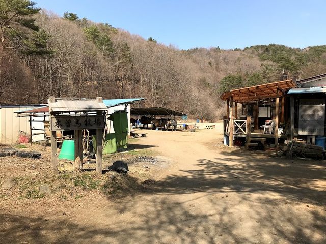 �g�t��ؑ]�n�q�����_�g�t��ؑ]�n�q��