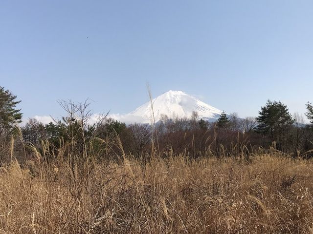 �������쌴����]�ޕx�m�R_�g�t��ؑ]�n�q��